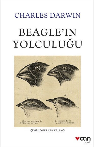 BEAGLEİN YOLCULUĞU