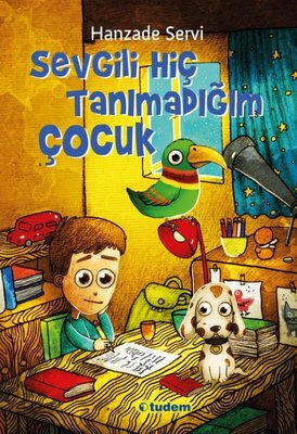 SEVGİLİ HİÇ TANIMADIĞIM ÇOCUK