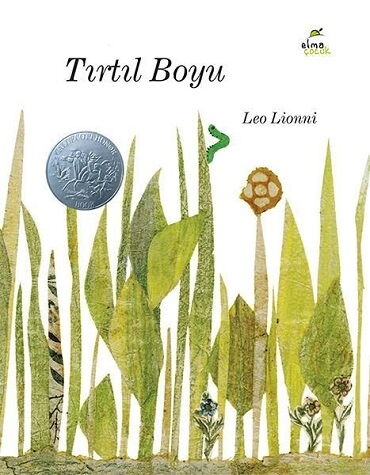 TIRTIL BOYU