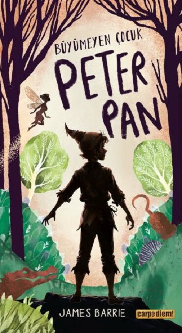 BÜYÜMEYEN ÇOCUK PETER PAN