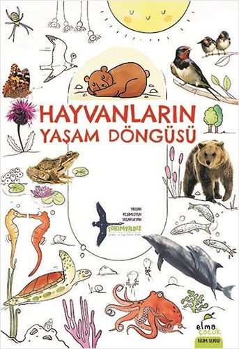 HAYVANLARIN YAŞAM DÖNGÜSÜ