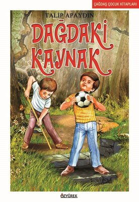 DAĞDAKİ KAYNAK