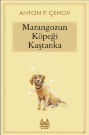 MARANGOZUN KÖPEĞİ KAŞTANKA