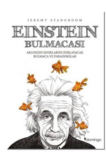 EİNSTEİN BULMACASI    1