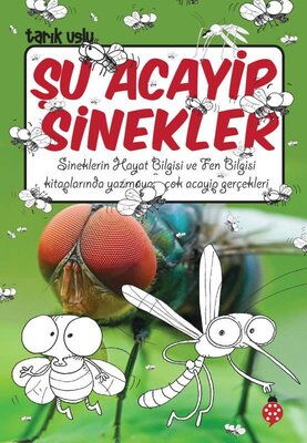 ŞU ACAYİP SİNEKLER