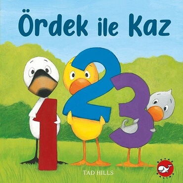 ÖRDEK İLE KAZ SAYILAR