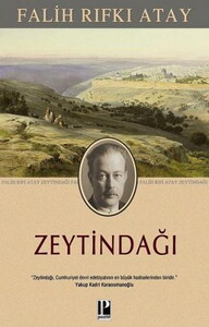ZEYTİNDAĞI #1